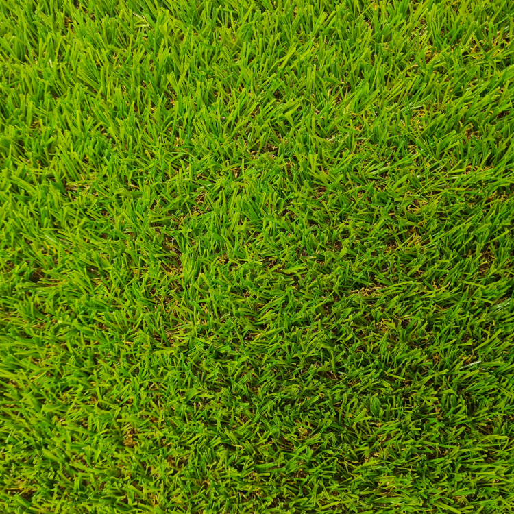 Augusta 25mm square view