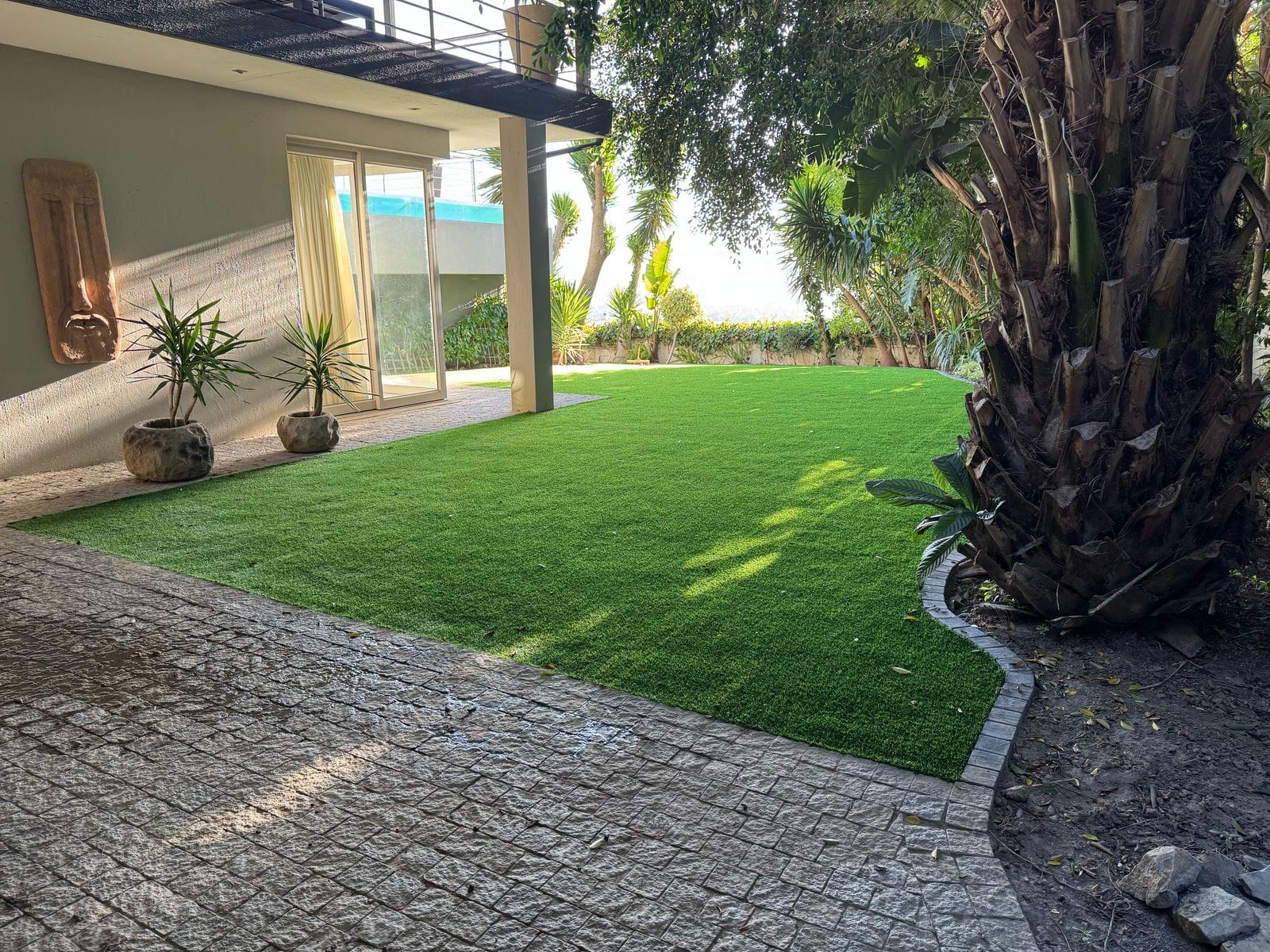 Large Backyard